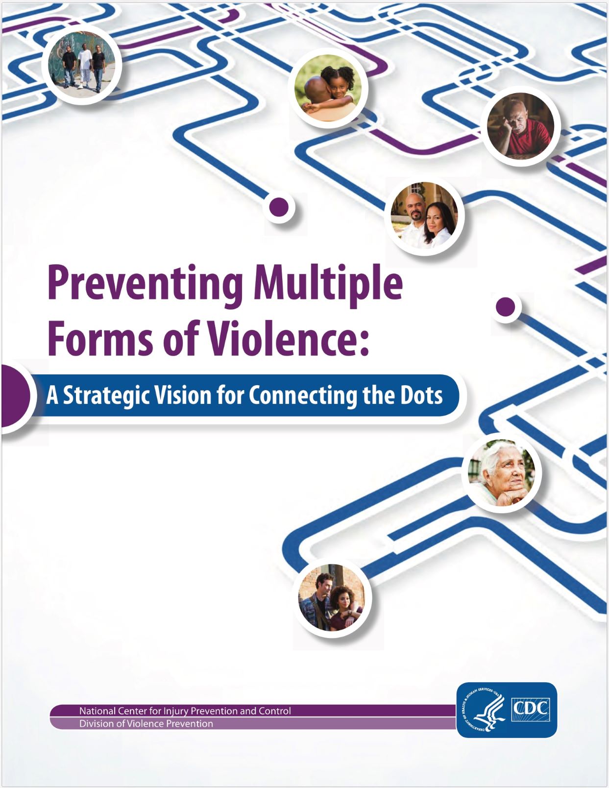 Preventing Multiple Forms Of Violence: A Strategic Vision For ...